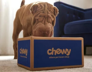 chewy box with dog