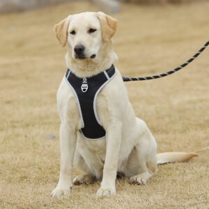 no pull dog harness with training handle