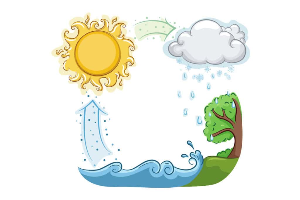 working indoor water cycle