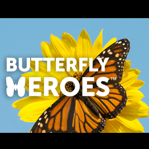 butterfly heroes