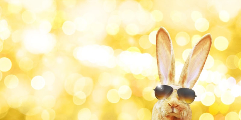 easter bunny with glasses