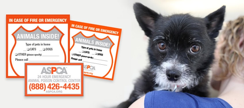 free aspca pet safety pack