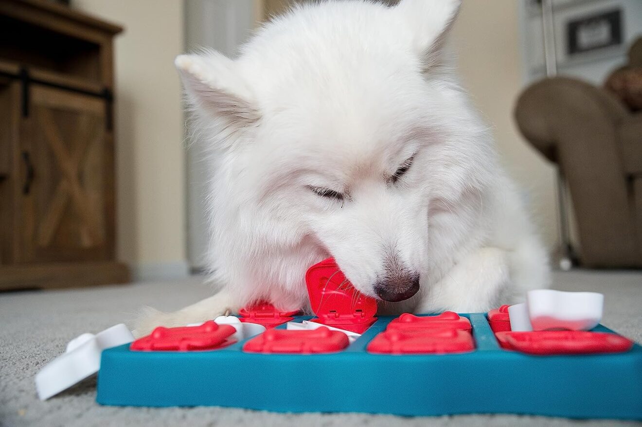 outward hound nina ottosson dog brick interactive treat puzzle dog toy