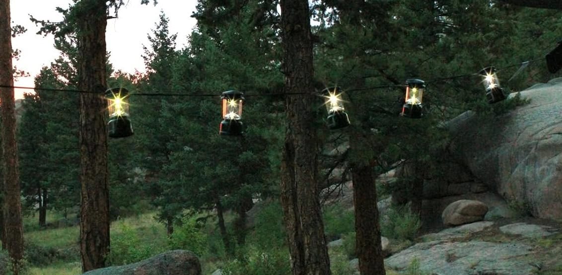 coleman led string lights