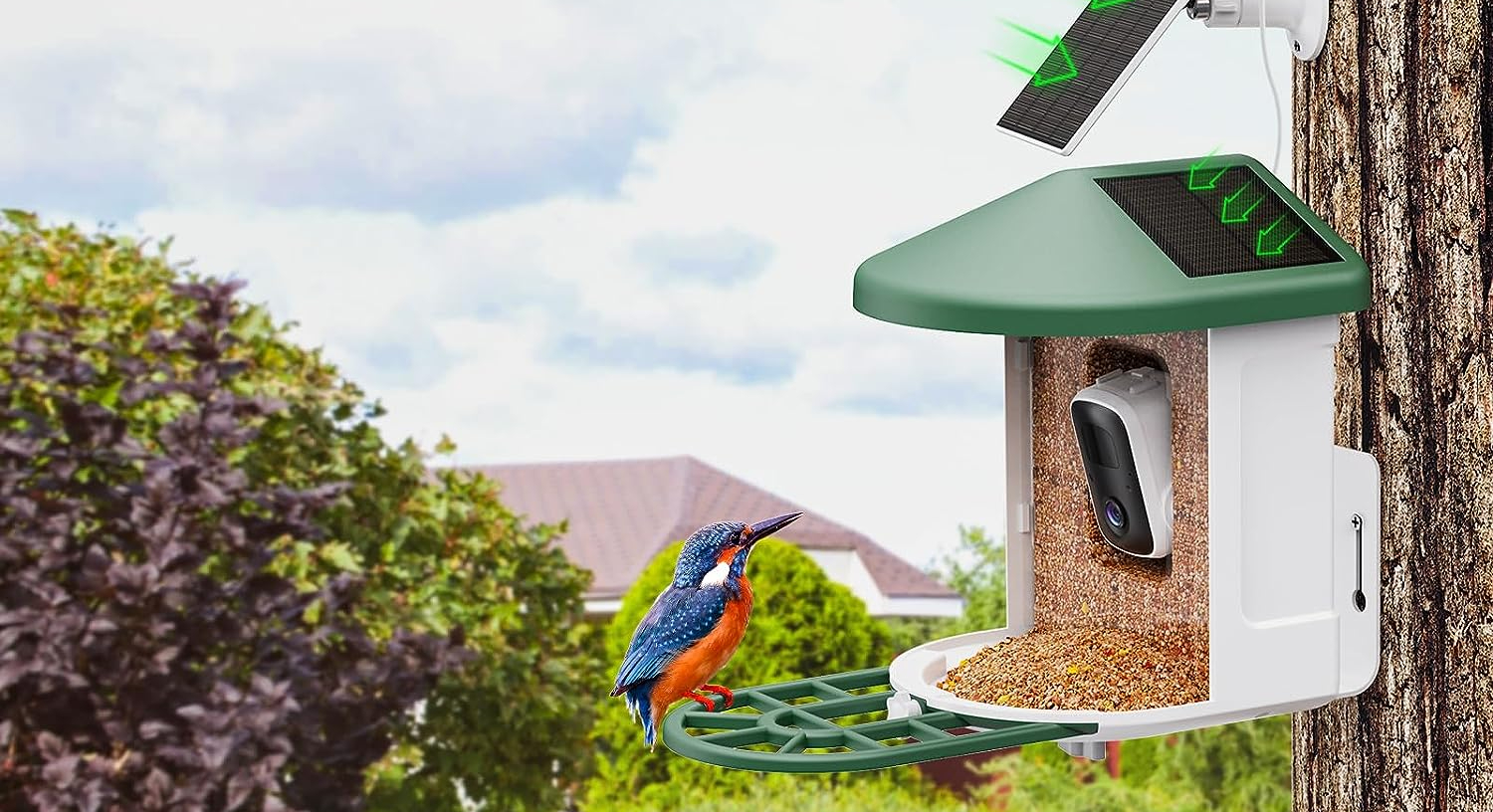 harymor smart bird feeder