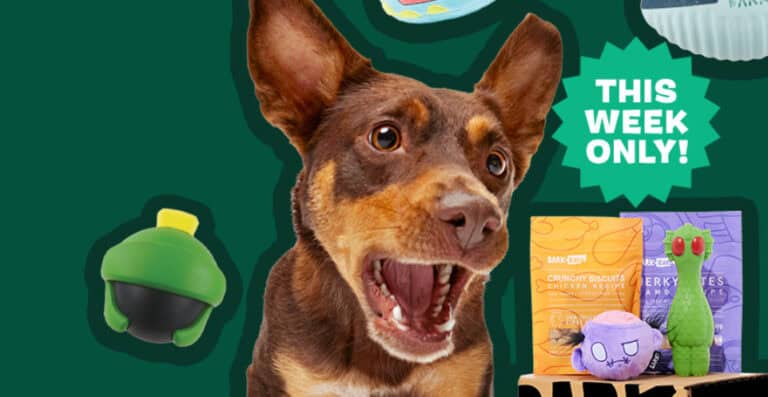 barkbox 100free toys