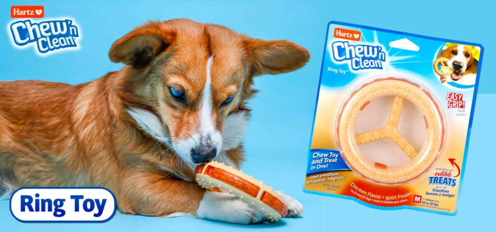 free hartz chew ‘n’ clean ring dog toy