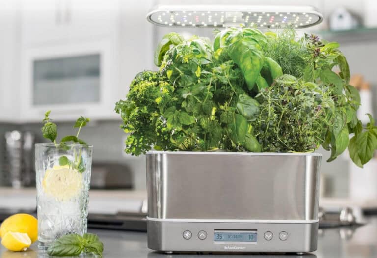 Indoor herb garden with grow light on kitchen counter.