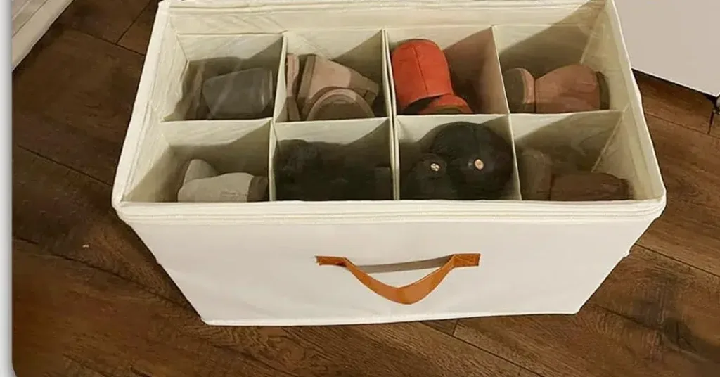 shoe organizer for closets