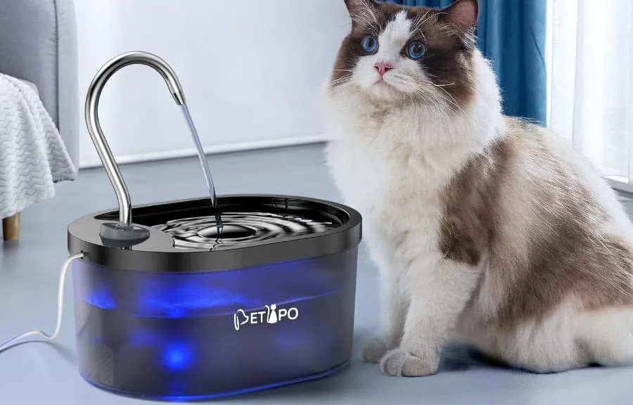 Cat next to blue-lit pet water fountain