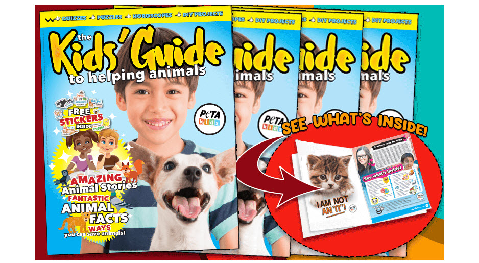 kids guide to helping animals
