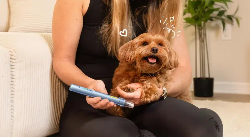 safe electric rechargeable pet nail trimmer with