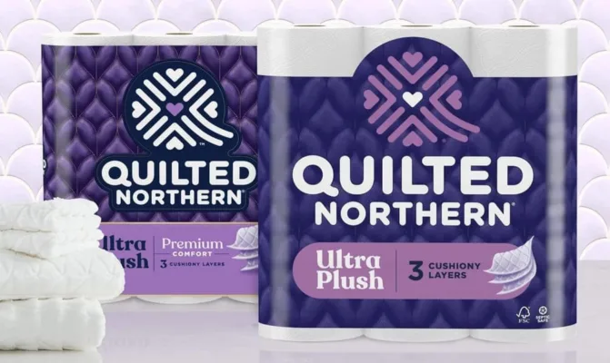quilted northern 6