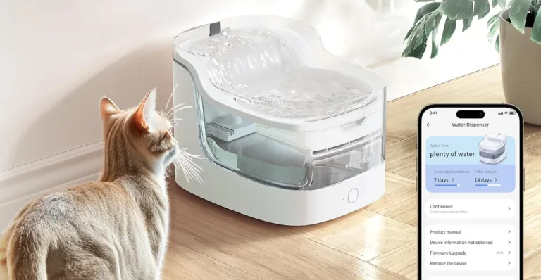 Cat drinking from smart water dispenser with app display.