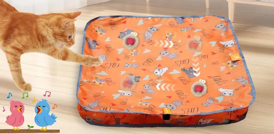 Cat playing with interactive mat and mouse toy.