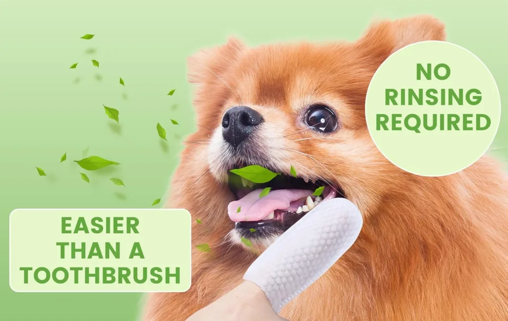 Dog enjoying dental wipe without rinsing required