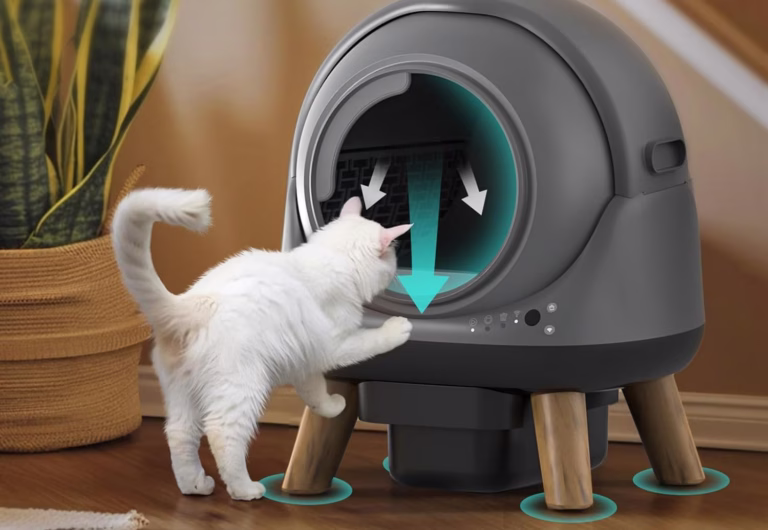 Cat using modern automatic litter box