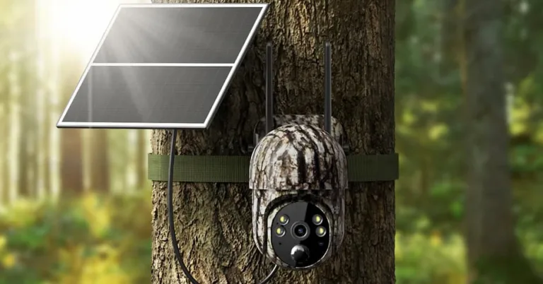 Tree-mounted solar-powered wildlife camera in forest.