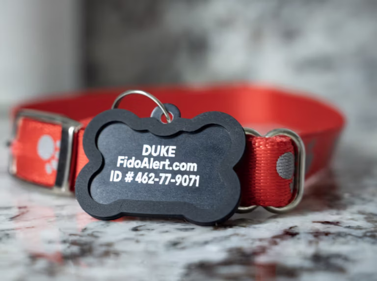 free fido pet tag