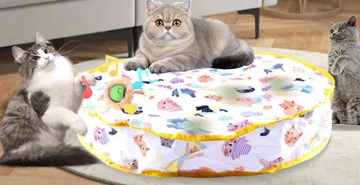 Three cats playing around colorful cat mat.