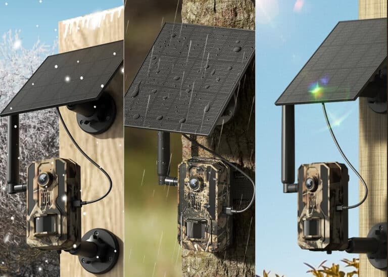 Solar-powered trail camera in various weather conditions.