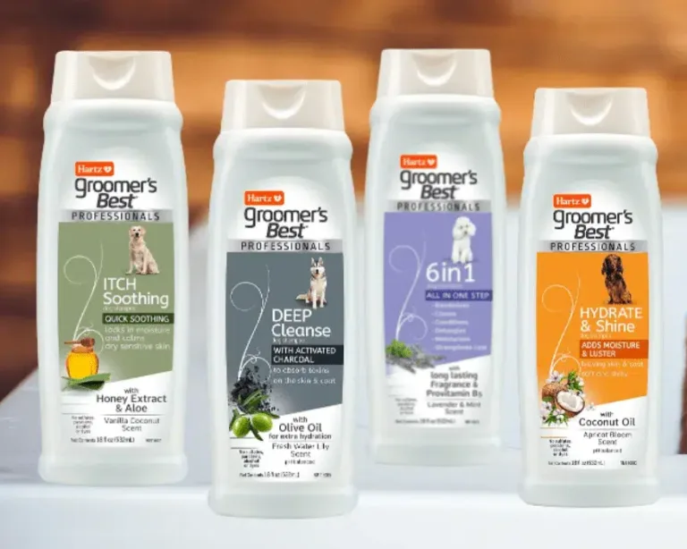 Dog grooming products with beagle in bath.