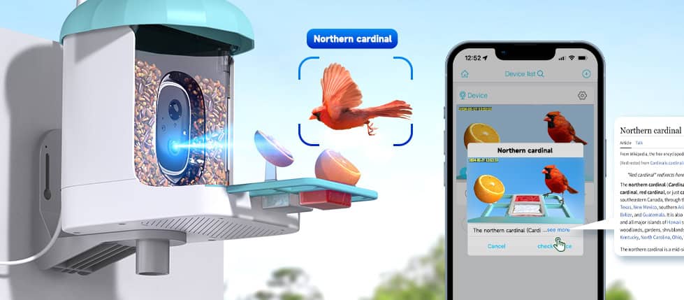 Smart bird feeder identifies Northern cardinal via app.
