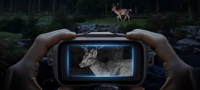 Deer viewed through night vision device in forest.