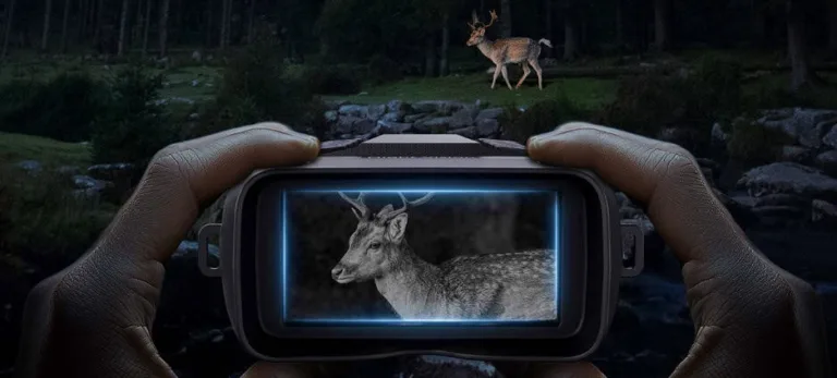 Deer viewed through night vision device in forest.