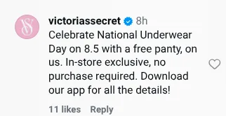 vs free panty