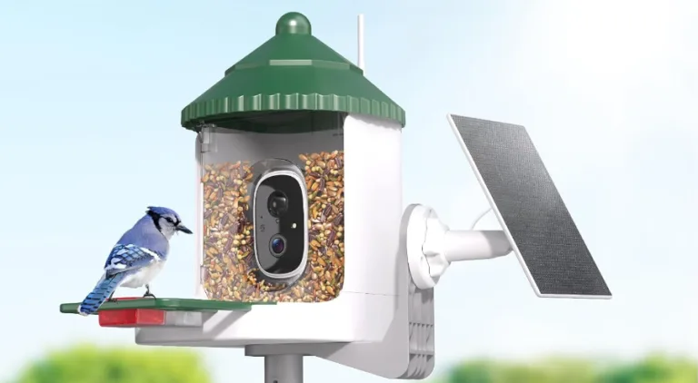 Solar bird feeder with camera, blue jay perched.