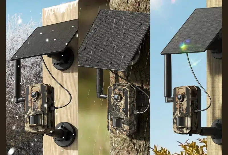 Solar-powered cameras in various weather conditions.
