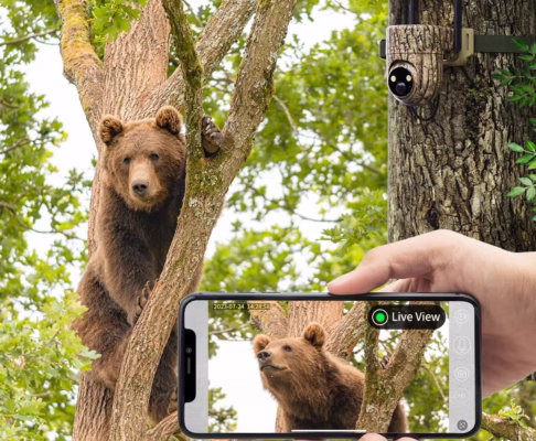 oculview cellular trail camera
