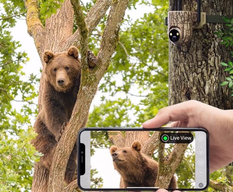 oculview cellular trail camera