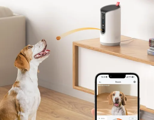 Dog eagerly awaits treat from dispenser and phone view.