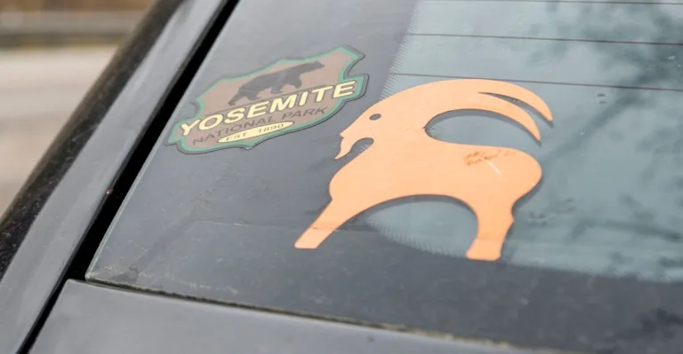 Car window with Yosemite National Park sticker.