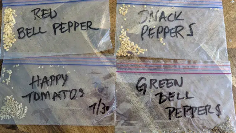 free seeds,free garden seeds,free vegetable seeds,free flower seeds,free seeds online,free seed packets,free seed giveaways,free seeds for gardening,free seeds by mail,free heirloom seeds,free organic seeds,free seed library,free seed swap,how to get free seeds,gardening freebies seeds