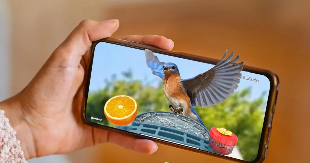 Smartphone displaying bird photo in high resolution.