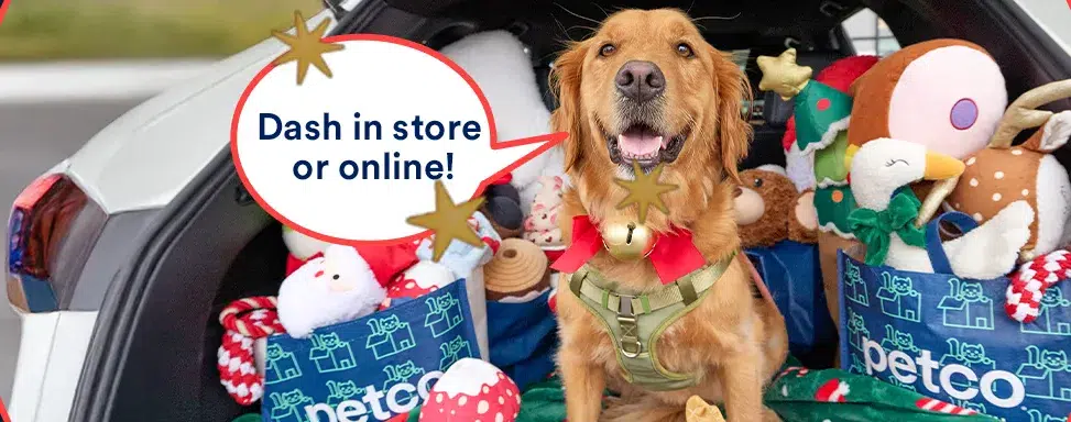 Dog with Christmas toys and shopping bags in car.