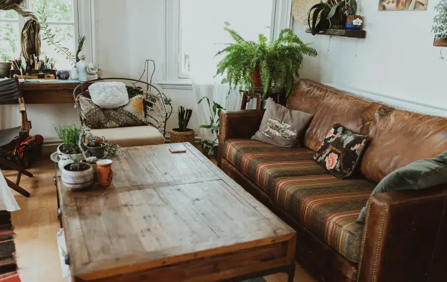 Cozy living room with plants and rustic decor.