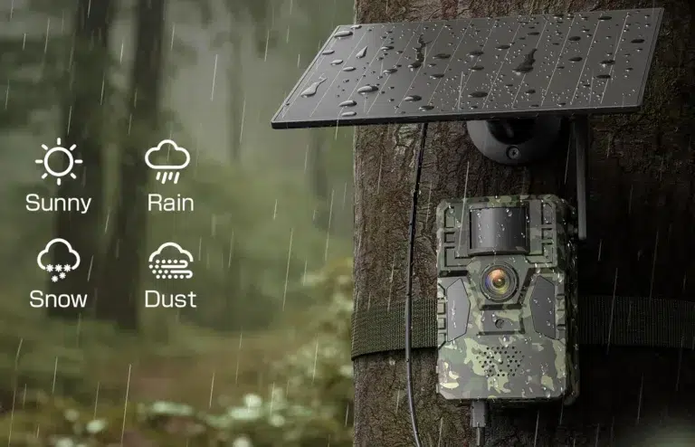 Trail camera with solar panel in rain forest.