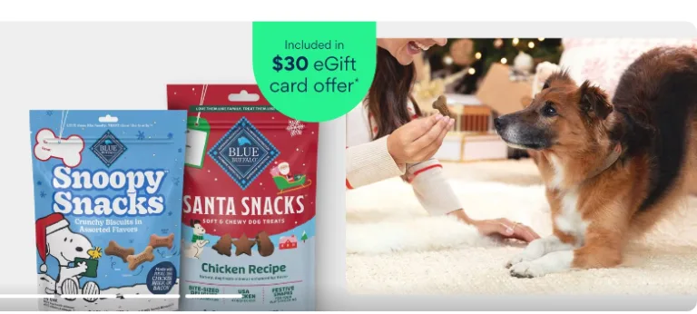 Woman giving dog treats from holiday packages