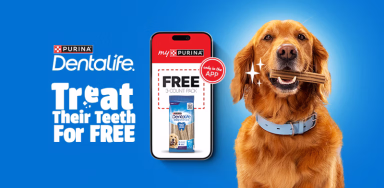 Purina Perks,myPurina app,Purina rewards program,earn points on pet products,redeem points for pet rewards,Purina loyalty program,2025 Feastivities Ornament