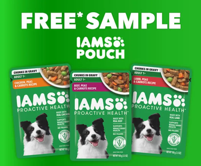 iams free sample pouch