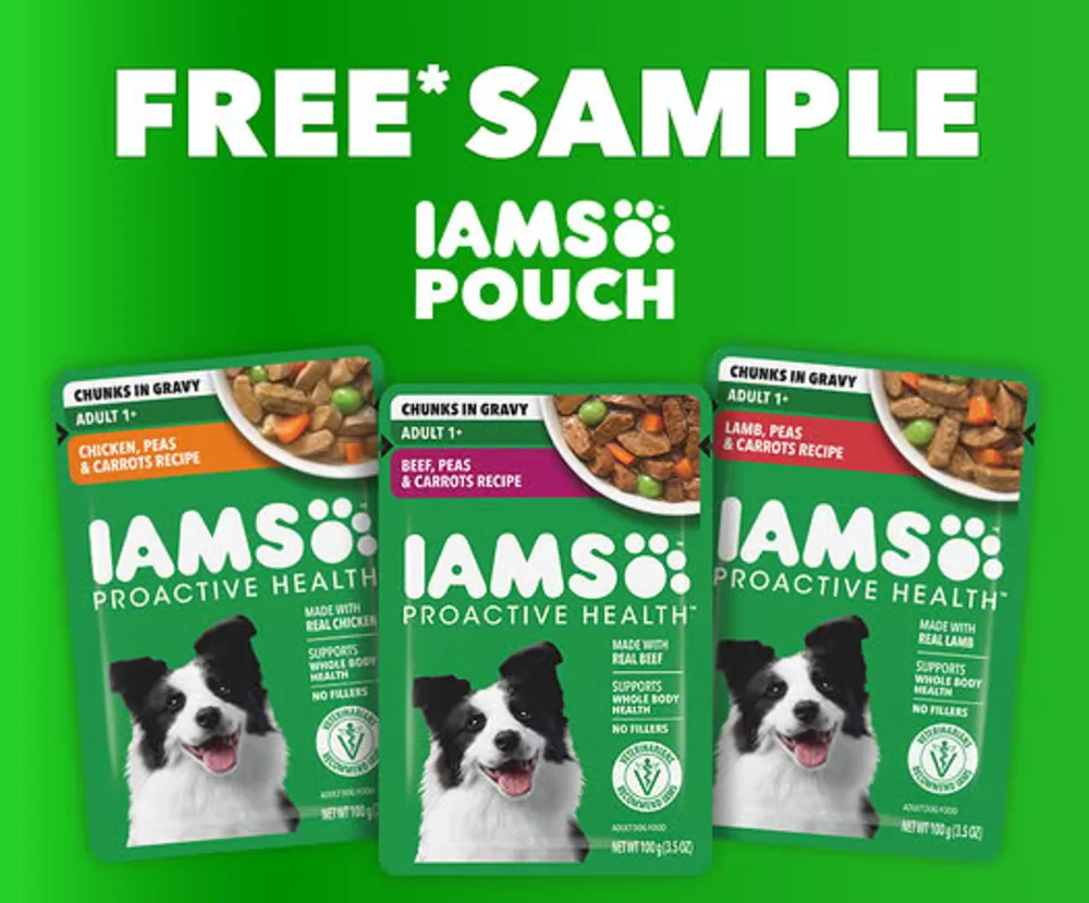 iams free sample pouch