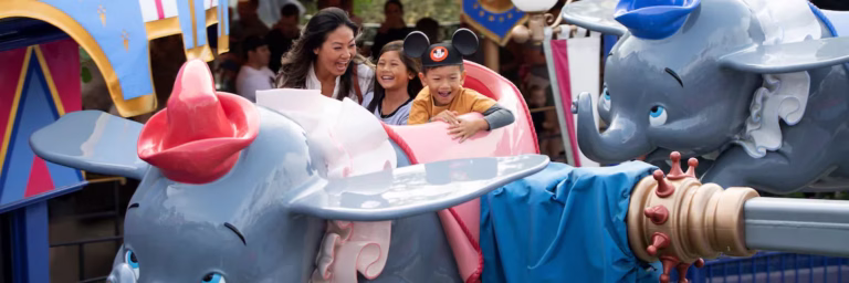 disney park ride