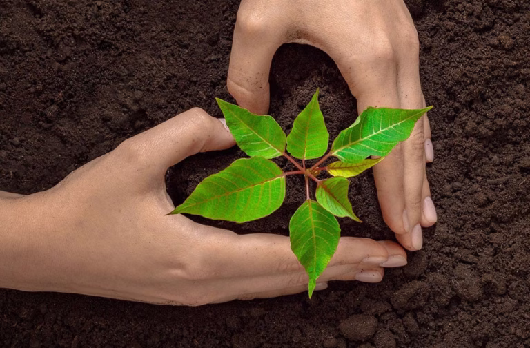 free plantable seed paper