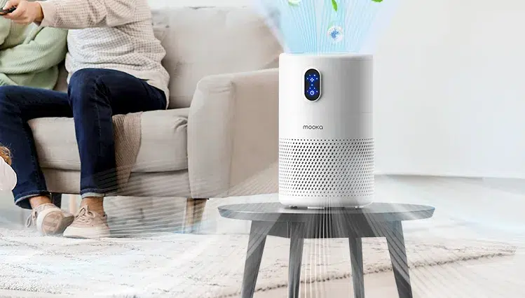 mooka air purifier