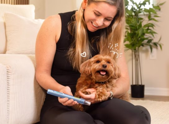 safe electric rechargeable pet nail trimmer