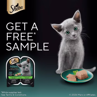 sheba cat food sample